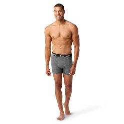 Smartwool Men's Active Boxer Brief Underwear