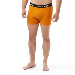 Smartwool Men's Active Boxer Brief Boxed Underwear