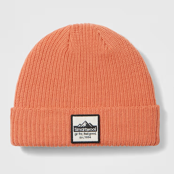 Smartwool Patch Beanie Winter Hat - Image 3