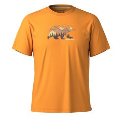 Alternative view of Smartwool Bear View Short Sleeve Graphic Tee Shorts